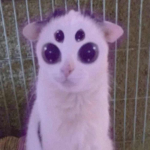 THE_DROWSY_DRIFTER's Avatar
